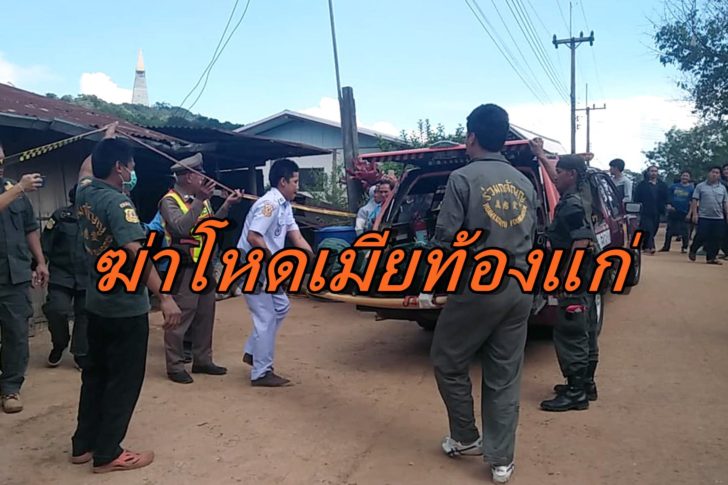ฆ่าโหดเมียท้องแก่2-