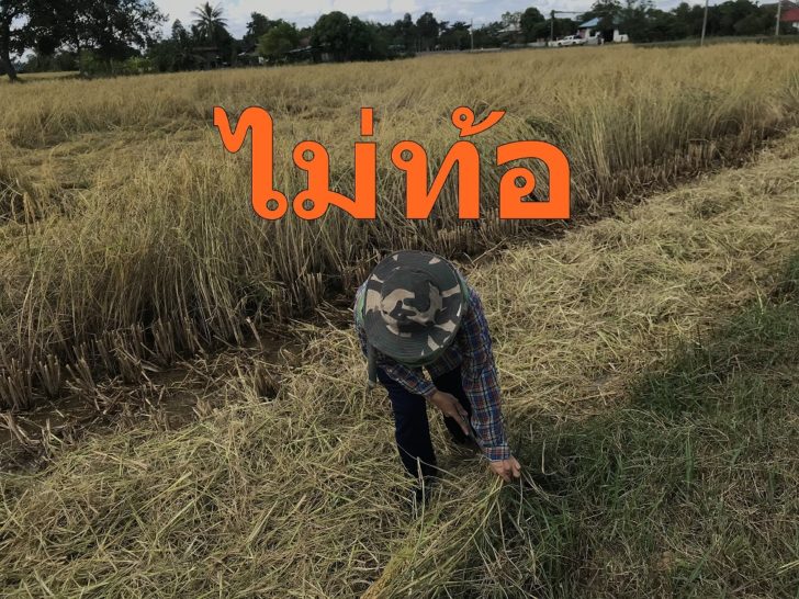 ชาวนาโดนฝนถล่ม