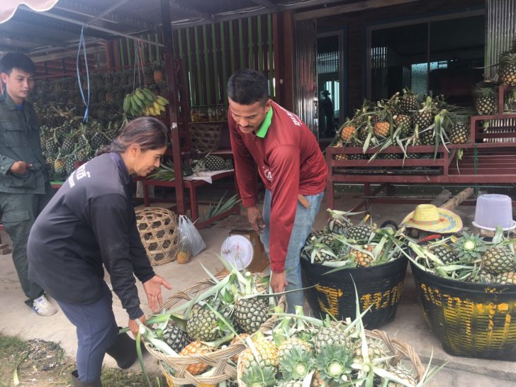ซื้อสับปะรด