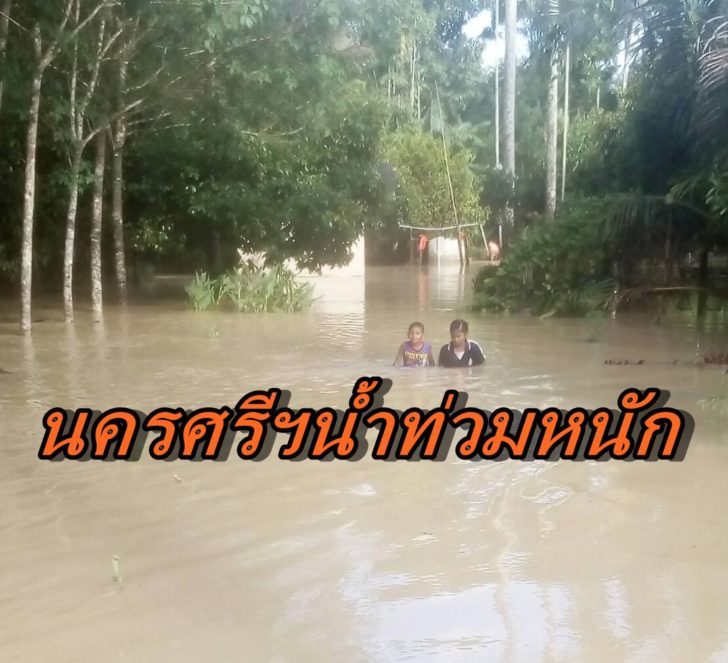 น้ำท่วมนครศรี2