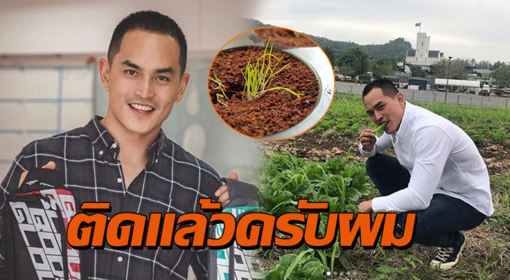 ปก