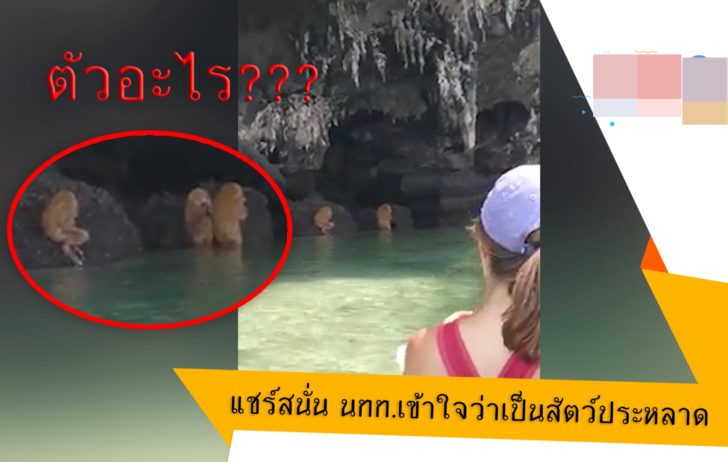 ปกข่าว 2