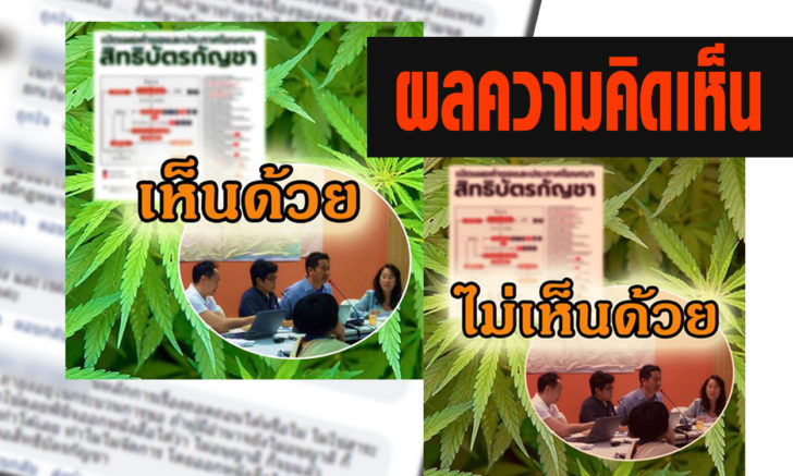 ผลโพลสิทธิบัตรกัญชา