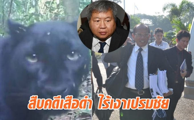คดีเสือดำ