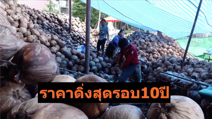 มะพร้าว