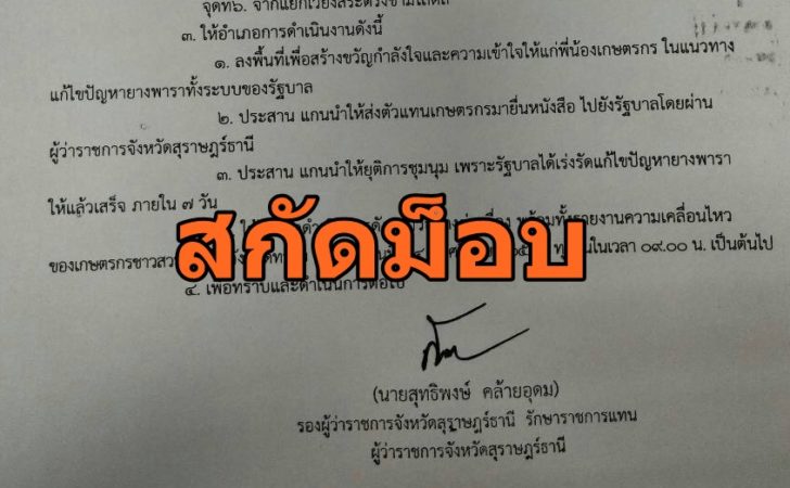 ยางพารา2