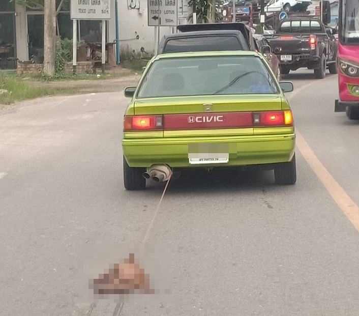รถลากหมา-