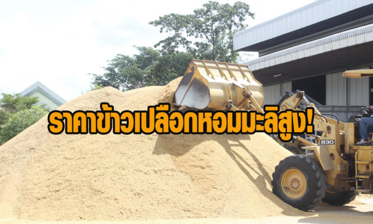 ราคาข้าวเปลือก