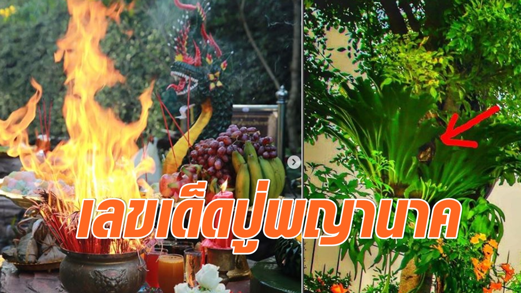 เลขเด็ด