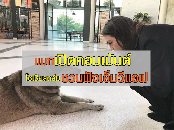 แมท