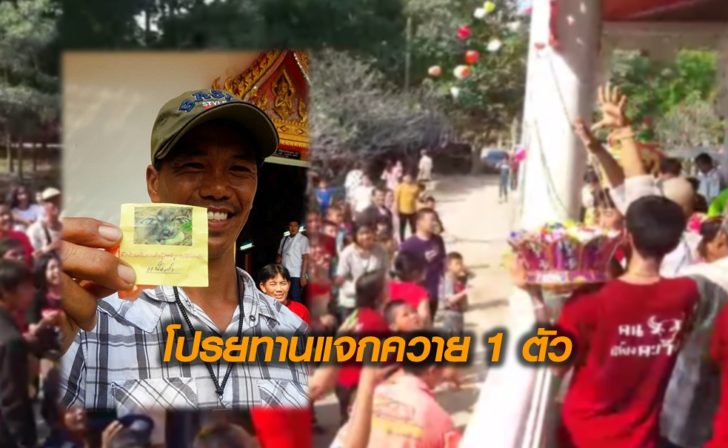 โปรยทานแจกควาย