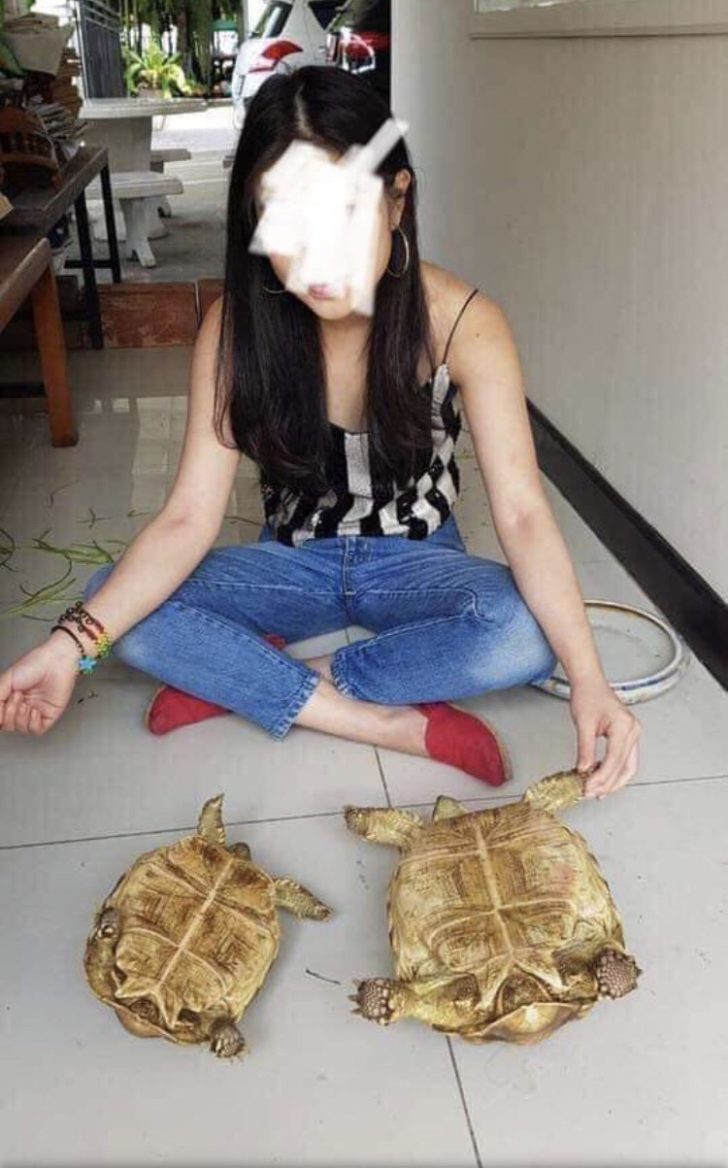 S__86532114