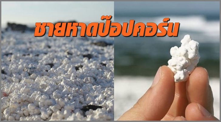 popcornbeach4