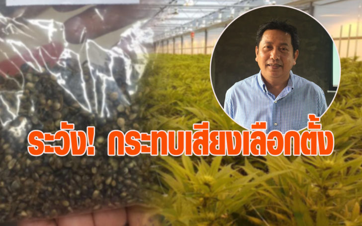 สิทธิบัตรกัญชา