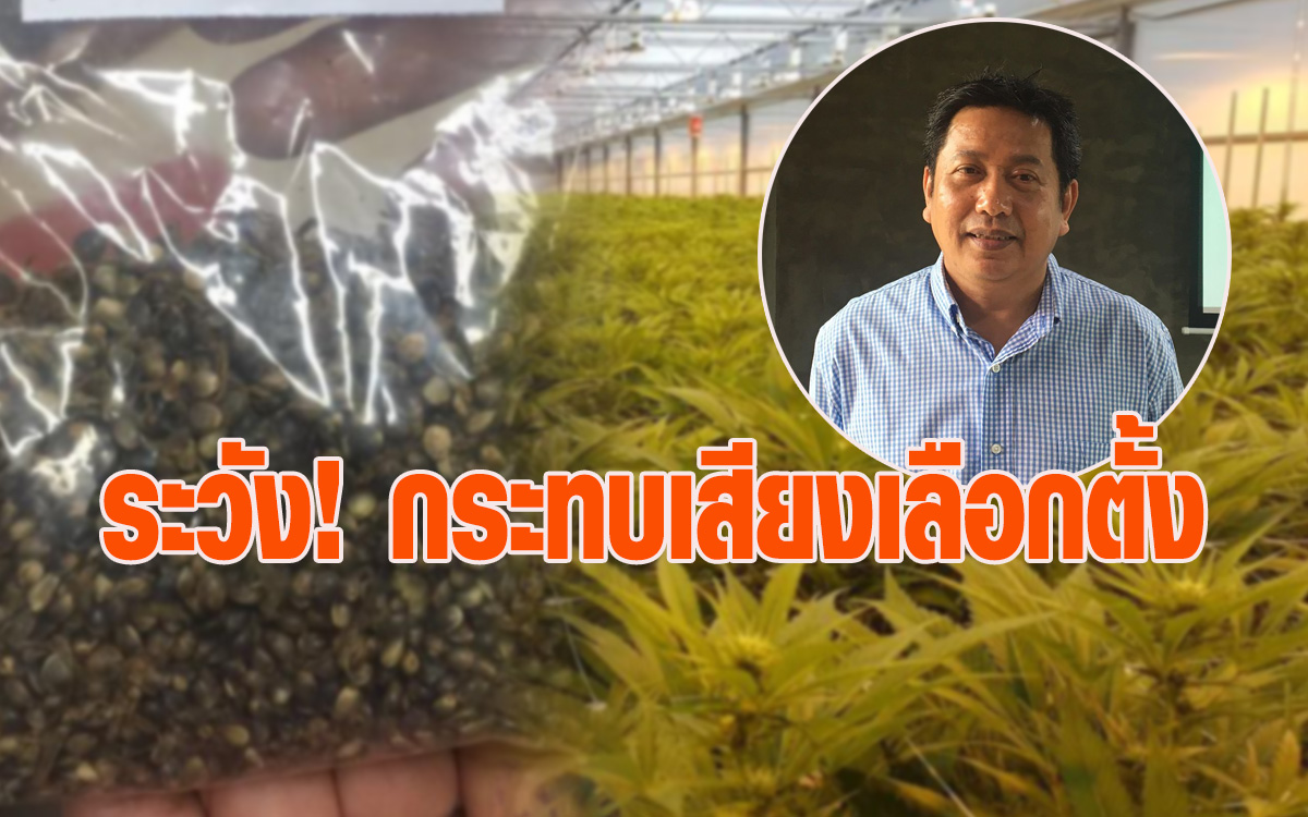 สิทธิบัตรกัญชา