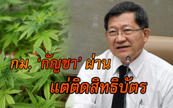 สิทธิบัตรกัญชา