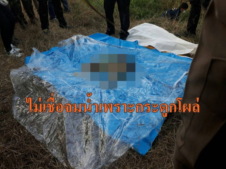 ต้าแง