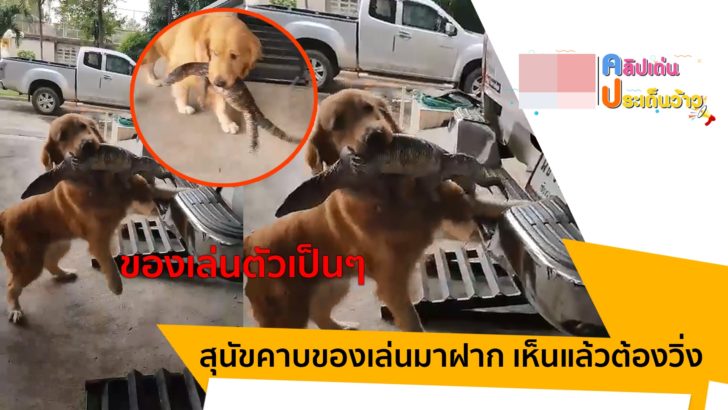 ปกข่าว 4