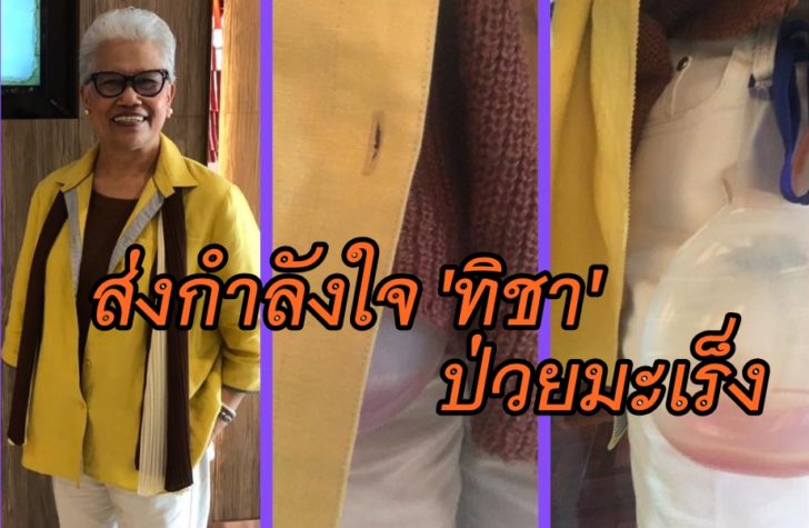 ป้ามล