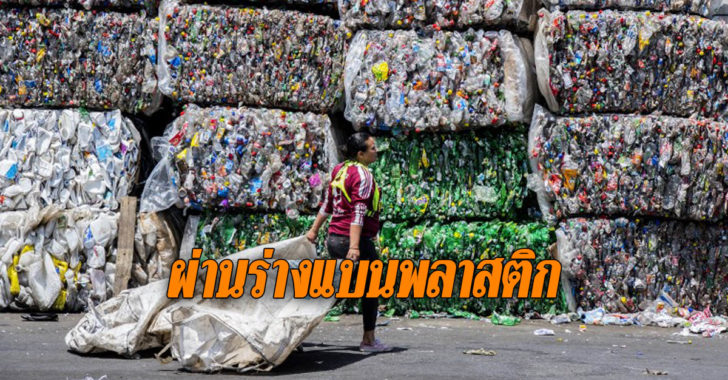 ผ่านร่างแบนพลาสติก