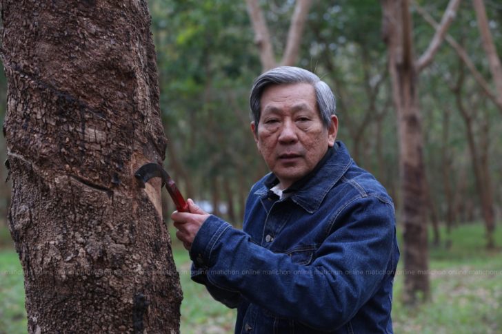 พินิจ จารุสมบัติ