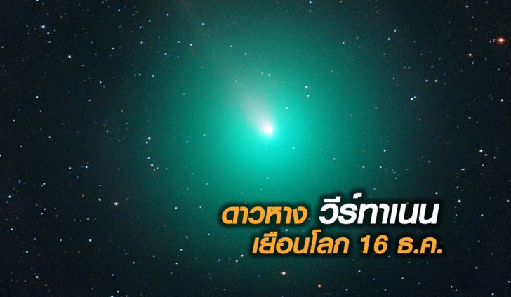 วีทาร์เนน16