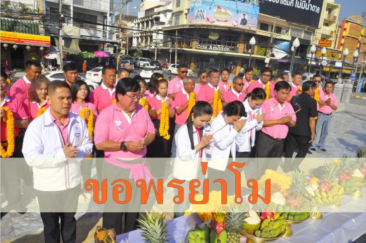 หนูนา