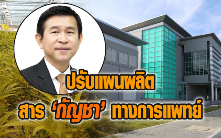 อภ.กัญชา