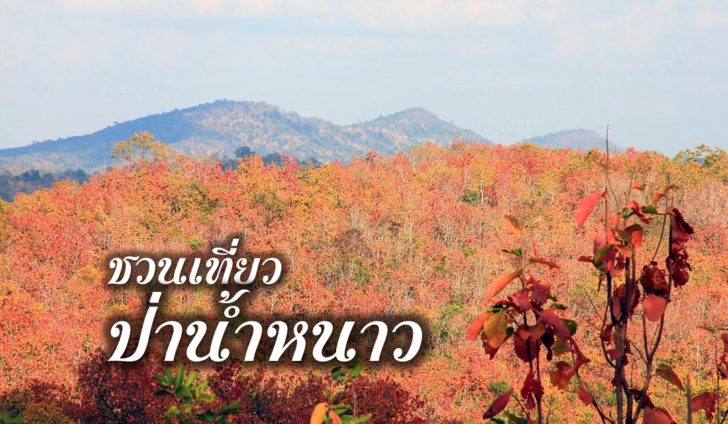 เที่ยว
