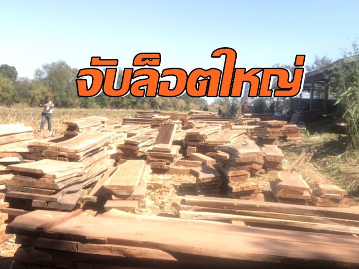 โคราช จับไม้8