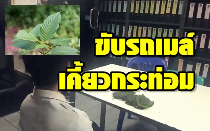 42สรรี