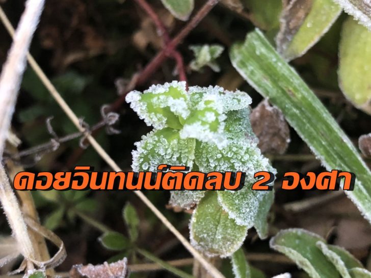 ดอยอินทนนท์