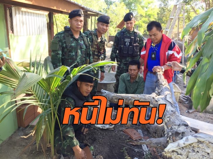 บึงกาฬ จับกัญชา