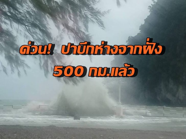 ปาบึก1