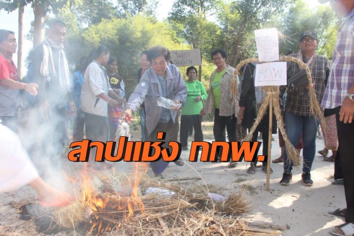 เผาพริกเผาเกลือ