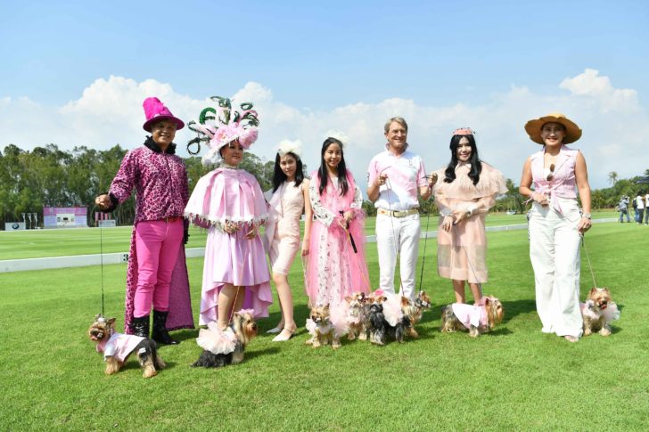 บรรยากาศแฟชั่นโชว์สุนัขจากยอร์คเชียร์เทอร์เรียคลับประเทศไทย นำโดยคุณน้ำหอม สุนัขทรงเลี้ยงใน พระเจ้าหลานเธอ พระองค์เจ้าสิริวัณณวรีนารีรัตน์ บรรยากาศแฟชั่นโชว์สุนัขจากยอร์คเชียร์เทอร์เรียคลับประเทศไทย นำโดยคุณน้ำหอม สุนัขทรงเลี้ยงใน พระเจ้าหลานเธอ พระองค์เจ้าสิริวัณณวรีนารีรัตน์