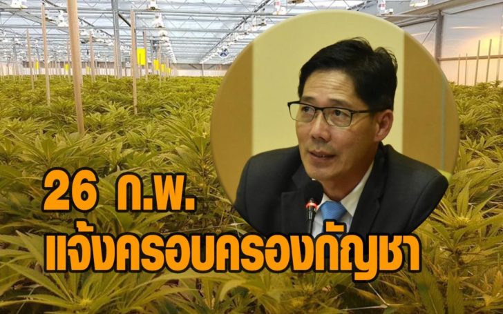 ก.พ.นี้กัญชา