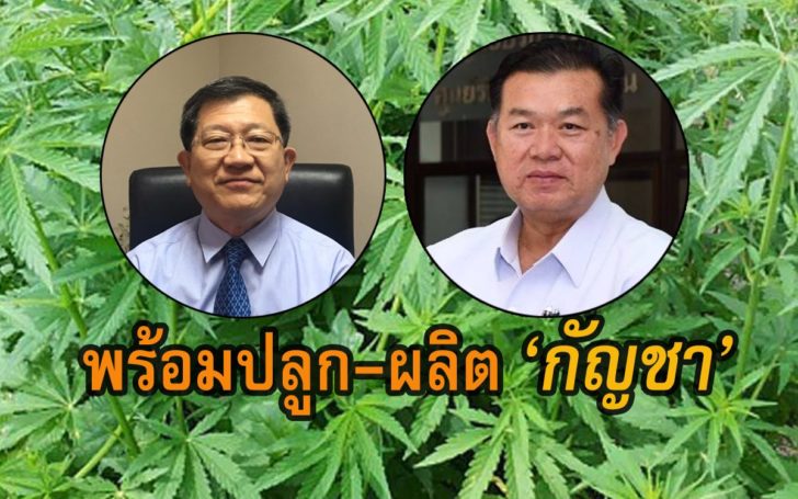 กัญชา