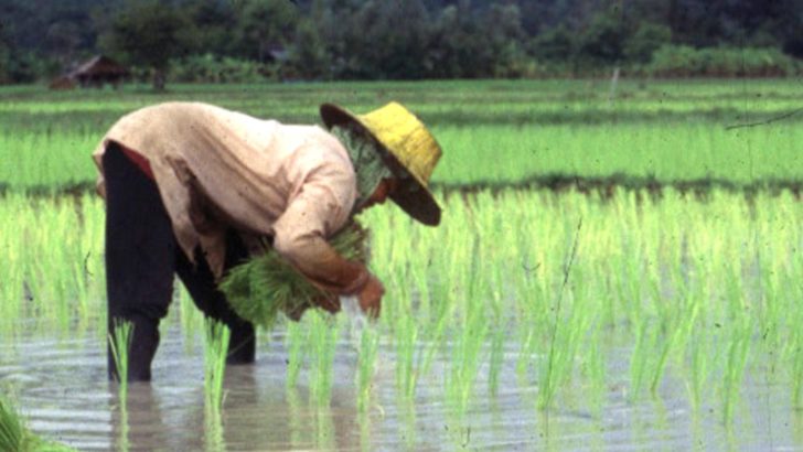 ภป-เหยี่ยว20กพ