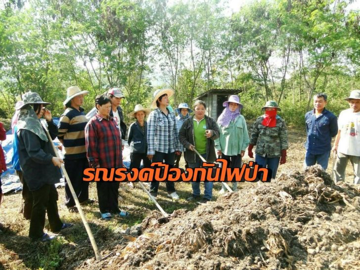 รณรงค์ป้องกันไฟป่า