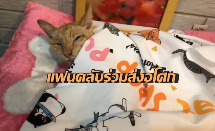 อโศก
