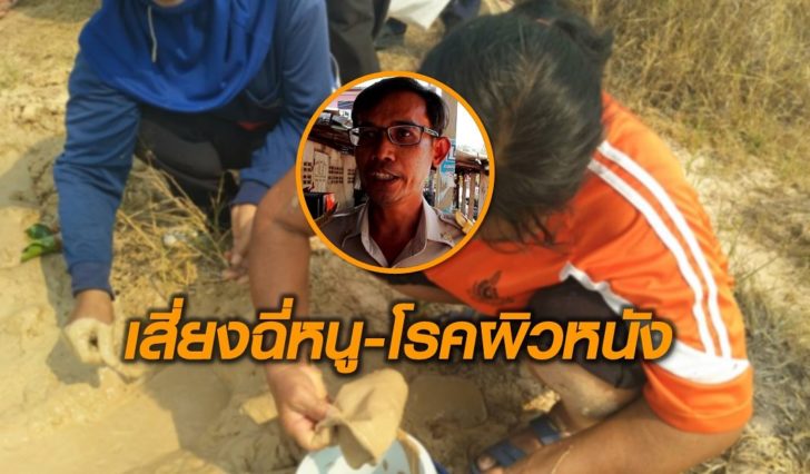 เสี่ยงฉี่หนู