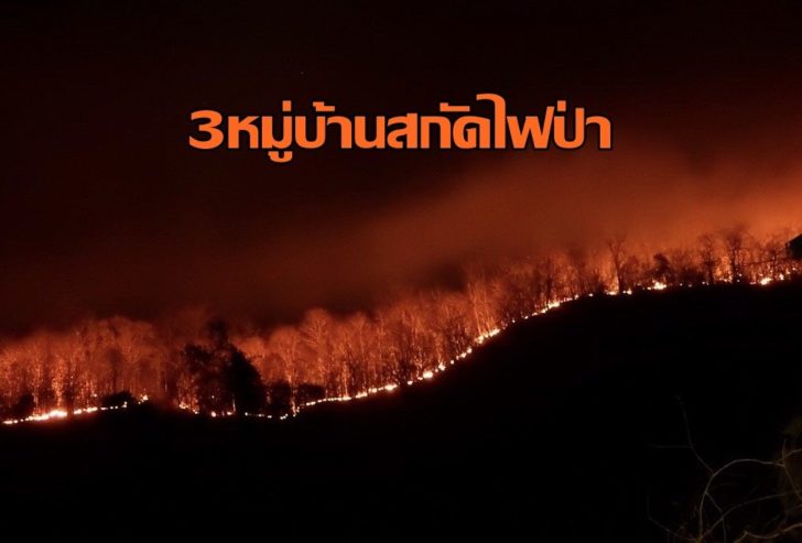 ไฟป่า2