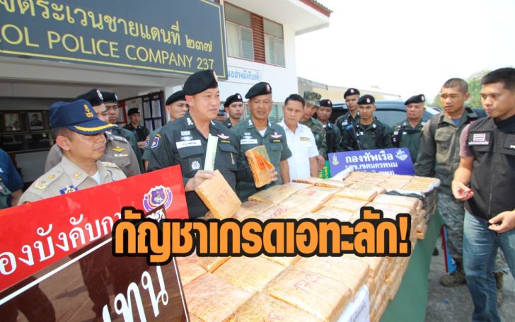 กัญชา