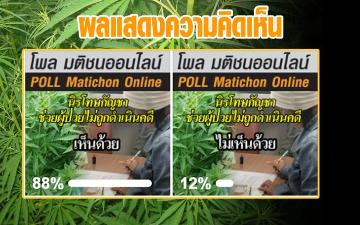 ความคิดเห็นกัญชา