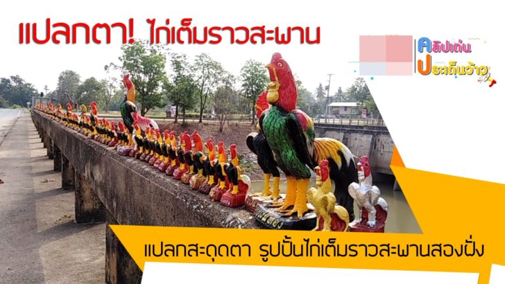 ปกข่าว 3