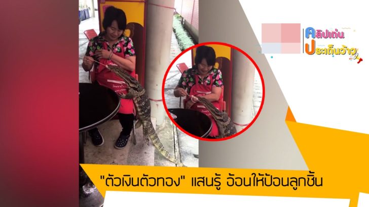 ปกข่าว 4