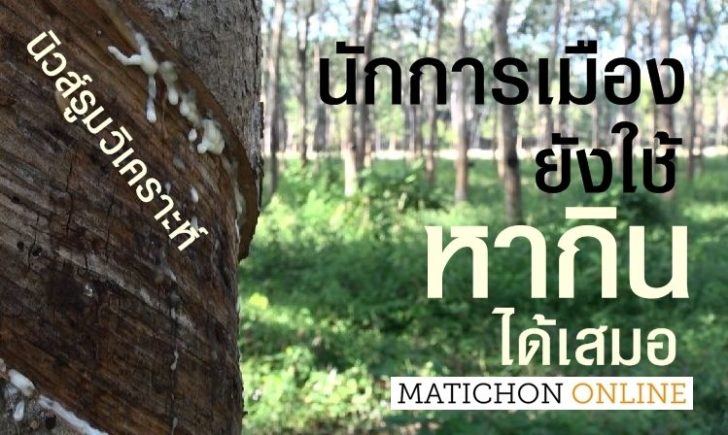 ยางพารา