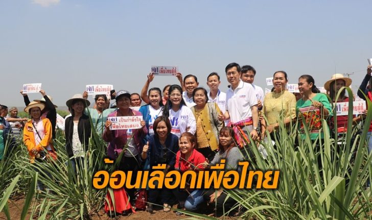 เลิอกพท