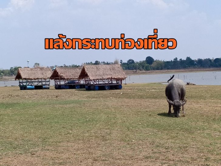 แพแล้ง3